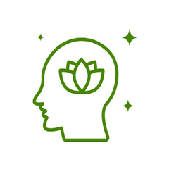 Collection image for: Cognitive & Focus Support