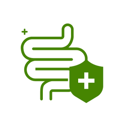 Collection image for: Digestive & Gut Wellness